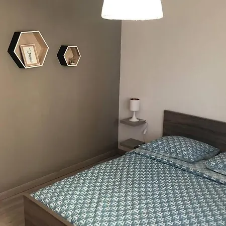 아파트 Cosy Avec Jardin A Blagnac. *