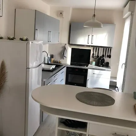 Cosy Avec Jardin à Blagnac. *